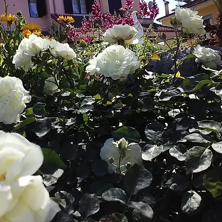 La Rosa Di Paestum Casa vacanze Capaccio